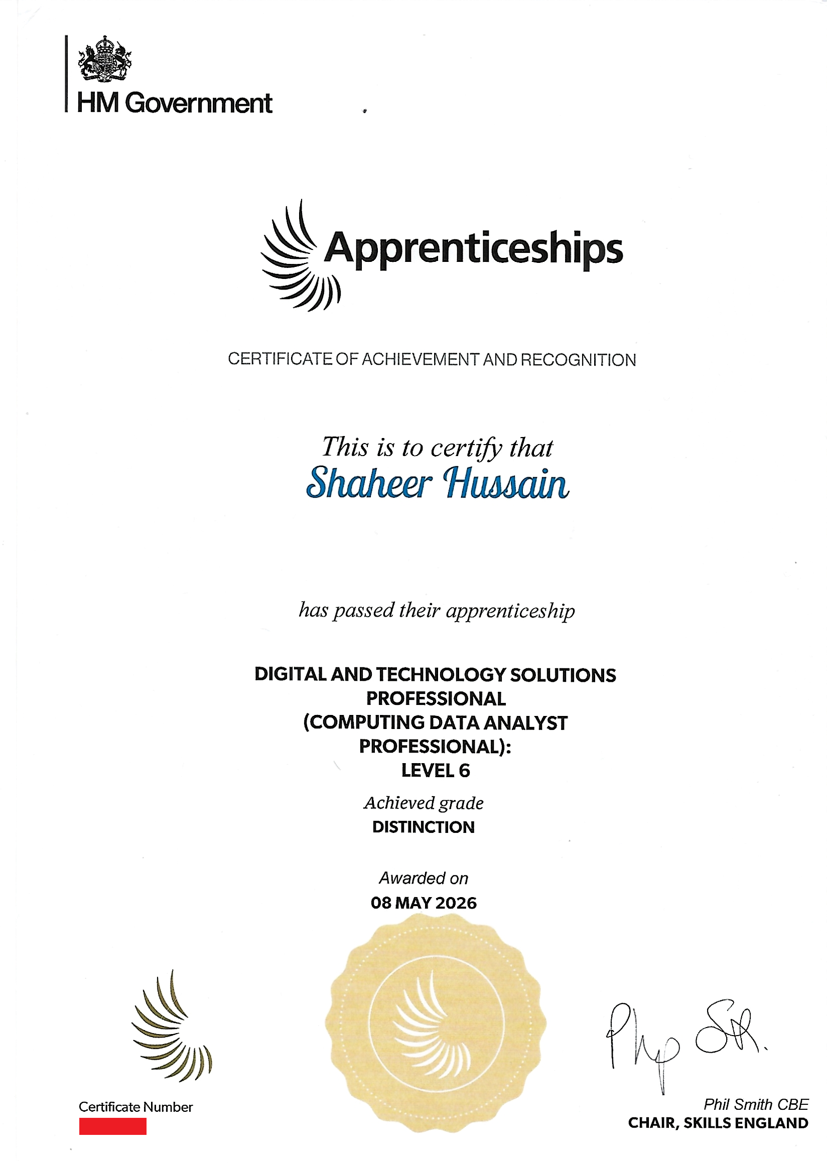 HM Government Apprenticeship Certificate - Digital and Technology Solutions Professional (Computing Data Analyst), Level 6, Distinction